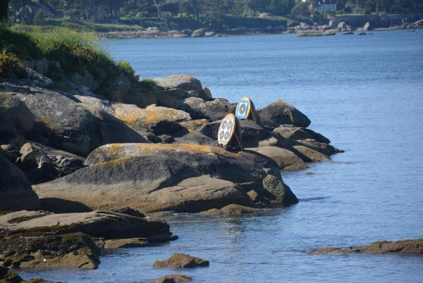 2025-05-18  E (11).JPG