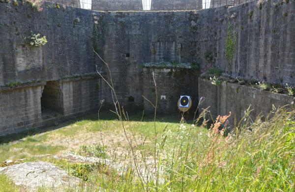 2025-05-18  F (4).JPG