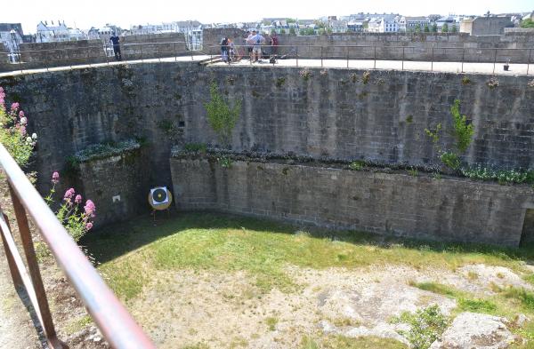 2025-05-18  F (11).JPG