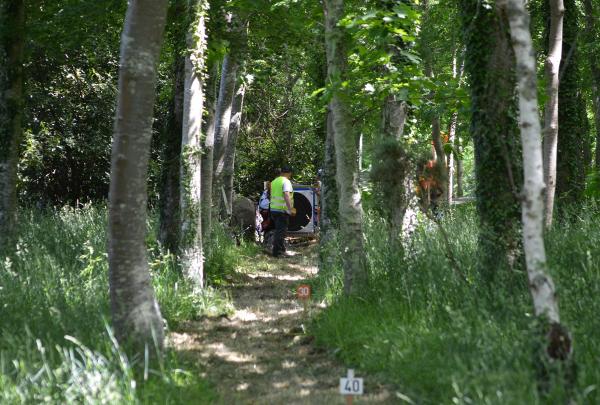 2025-05-18  F (37).JPG