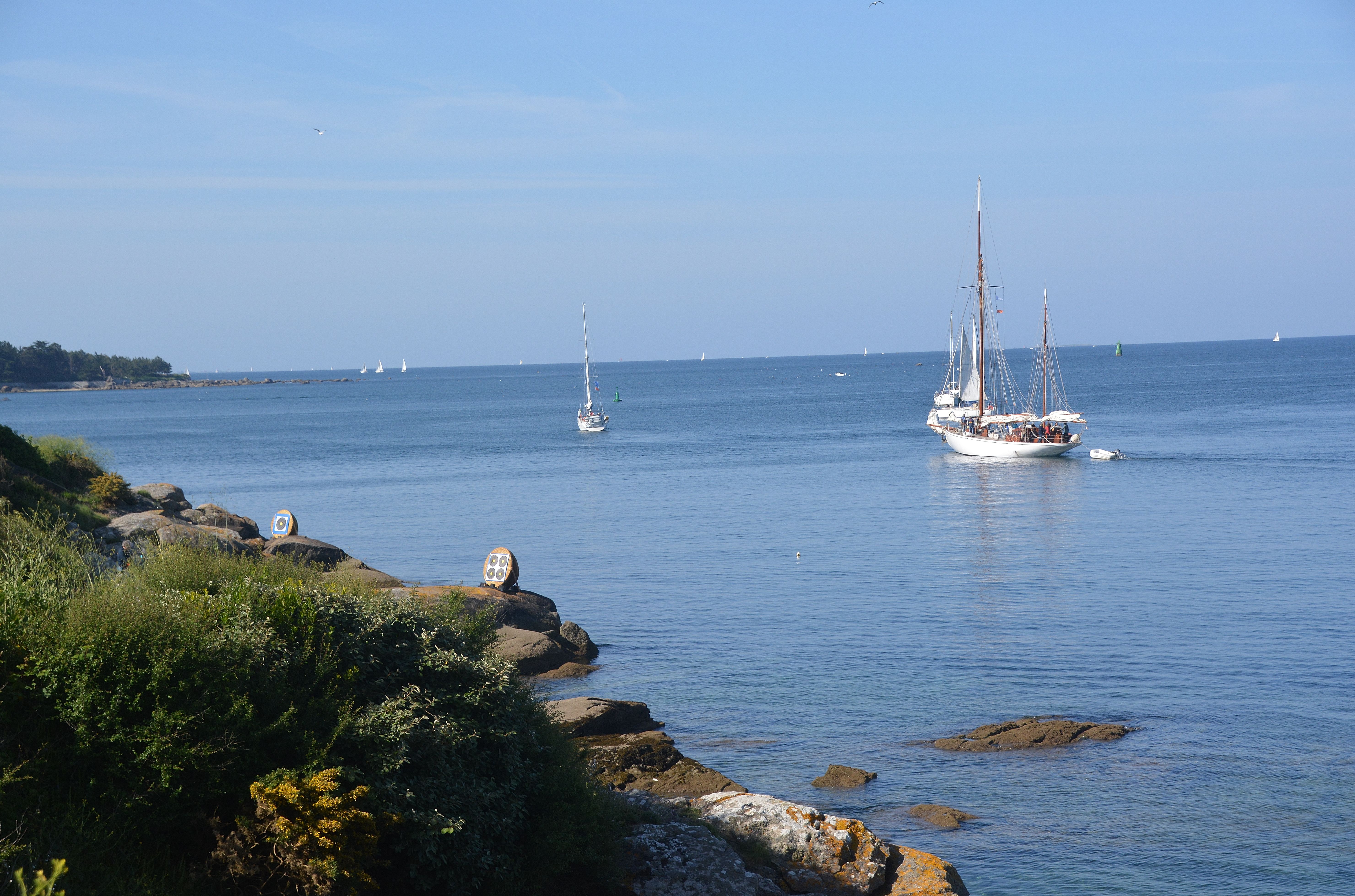 2025-05-18  E (12).JPG